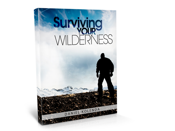 Surviving Your Wilderness